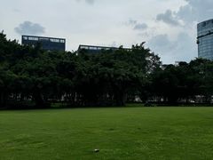 -南宁南湖公园