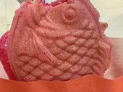 -JT PREP国际学科课程·IB·AP·Alevel(陆家嘴校区)