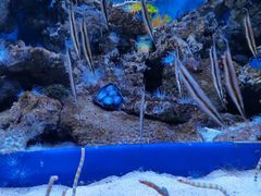 -成都浩海立方海洋公园