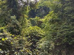 -亚婆田·白水寨生态旅游度假区