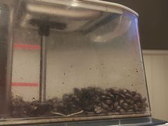 -肯德基(坞城路店)