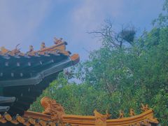 -青檀寺景区