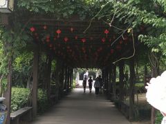 -白马涧龙池景区