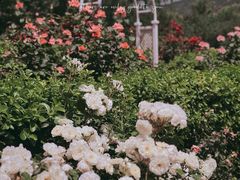 -国家植物园