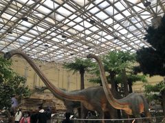 -国家自然博物馆