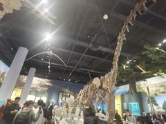 -国家自然博物馆