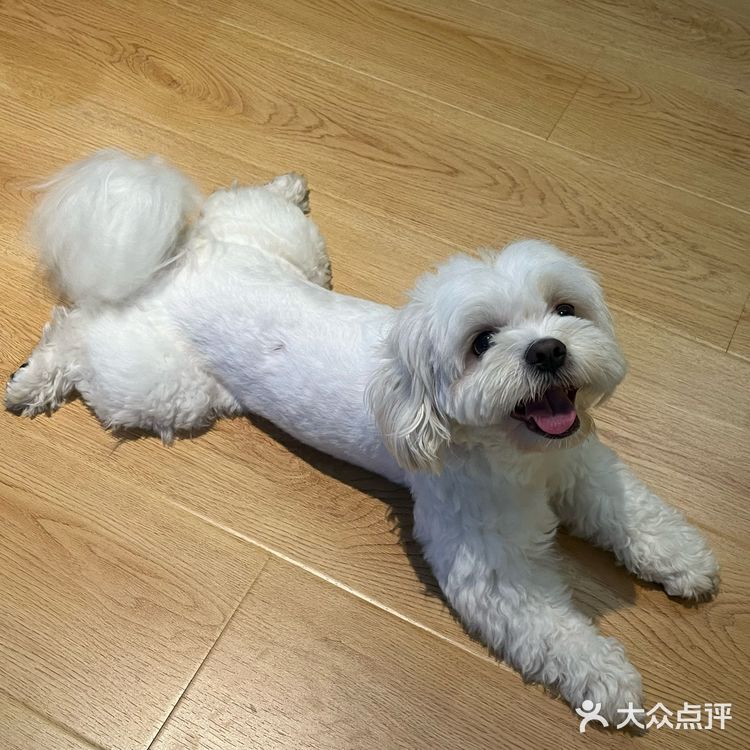 在肇庆！喝到人生手冲🥹环境敲sofu