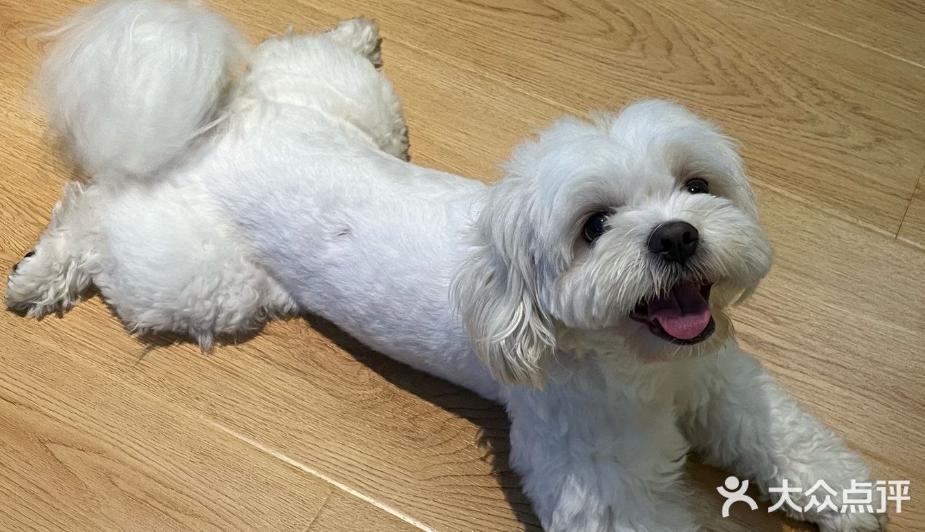 在肇庆！喝到人生手冲🥹环境敲sofu