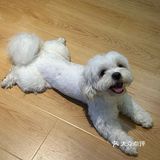 在肇庆！喝到人生手冲🥹环境敲sofu