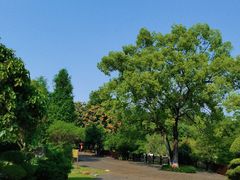 -广西壮族自治区药用植物园