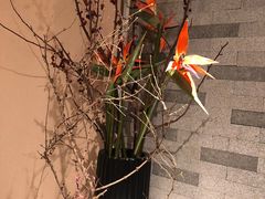 -京味斋·烤鸭·北京菜(安贞店)