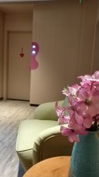 -爱弥儿月子中心(省医院店)