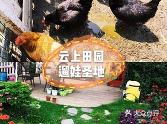 夏日的气息越来越浓了，带孩子去云上田园，跟大自然有个
