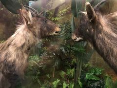 -下渚湖国家湿地公园科普馆