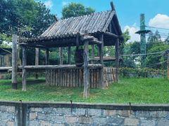 -上海野生动物园