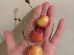 -双福水果批发市场