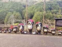 -岚山嵯峨野观光小火车