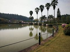 -南国桃园旅游度假区