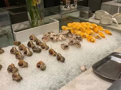 -鹭江潮餐厅•福建菜(鹭江佲家酒店)