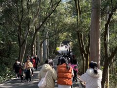 -白云山风景名胜区