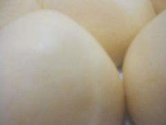 -河鱼鲜特色农家院