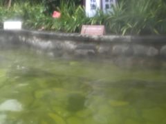 -杭州第一世界大酒店·云曼温泉