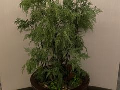 -浅深(世茂滨江精品店)