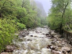 -青峰峡国家森林公园