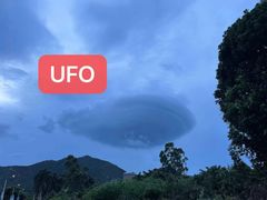 -西涌国际滨海旅游区