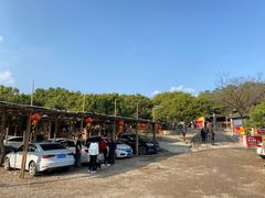 -满記土窑烧鷄波浪山莊