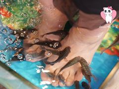 -泰国鱼疗足疗馆