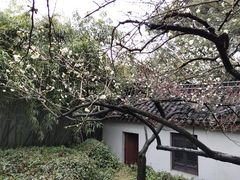 -无锡惠山寺