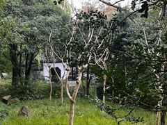 -秋霞圃