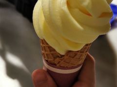 苹果雪芭-民信老铺(华盖路店)