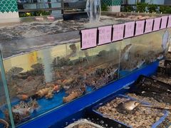 -老刺参海鲜酒楼