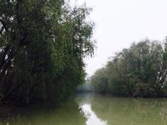 -大湾区中央湿地公园