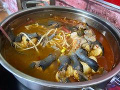鲶鱼酸汤鱼锅-弘烨 贵州酸汤 鱼火锅(东财店)