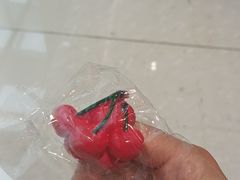 -同仁四季椰子鸡(无锡滨湖万象汇店)