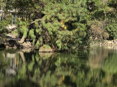 -宝岩生态观光园