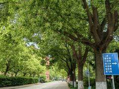 -同济大学(沪西校区)