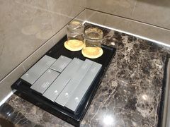 -圣爵菲斯大酒店(长沙世界之窗店)
