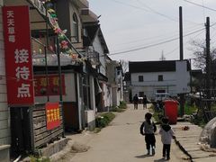 -青浦采草莓天天草莓园