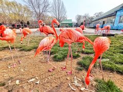 -秦皇岛野生动物园