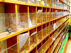 -猫的天空之城概念书店(印象城购物中心店)