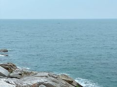 -广东惠东海龟国家级自然保护区