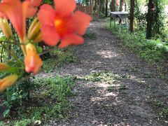 -同銮特种养殖场·龙虾垂钓