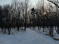 -长春市南湖公园