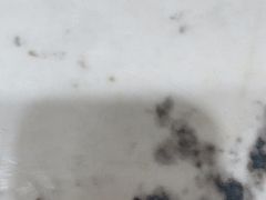 -85度C(生甜甜圈研究工坊·上海平凉店)