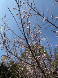 -鸿涛阁宴会中心