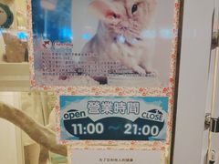 -龙猫仔乐园(惠福东路店)